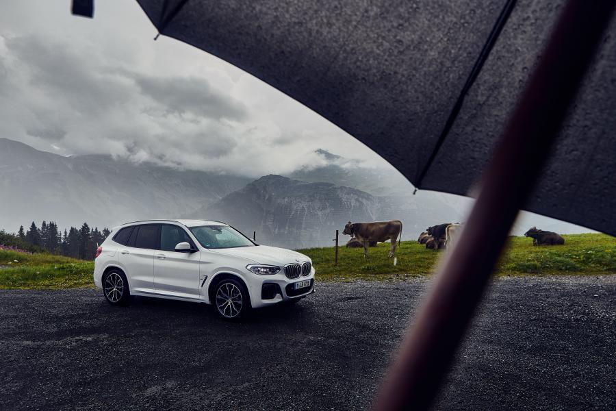  BMW X3 xDrive30e M Sport (G01) 2019 года  (WW) (фото 12 из 19)